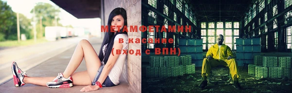 крисы Алзамай